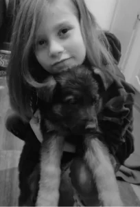 Pui ciobanesc german dragut alintat.