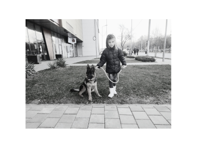 Little girl walking German Shepherd puppy on leash on green grass
