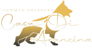 logo casa di arancina