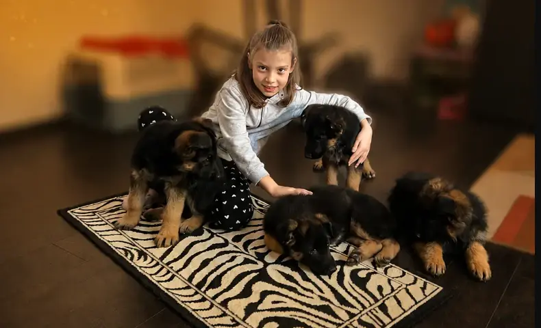 Copiii și Ciobănescul German
