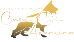 logo casa di arancina