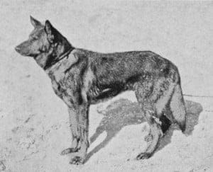 horand von grafrath