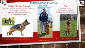 banner monta dallas di casa pastori si ARA