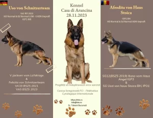 tablou de monta intre uso von schnizerteam si afodita von haus stoica