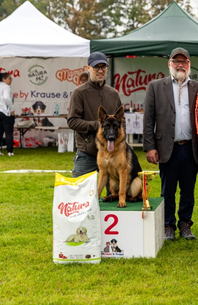 Oxa von Hingabe Clubul National de Ciobanesc German Expozitie