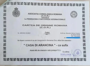 Certificat oficial afix/ canisa Casa di Arancina emis de FCI
