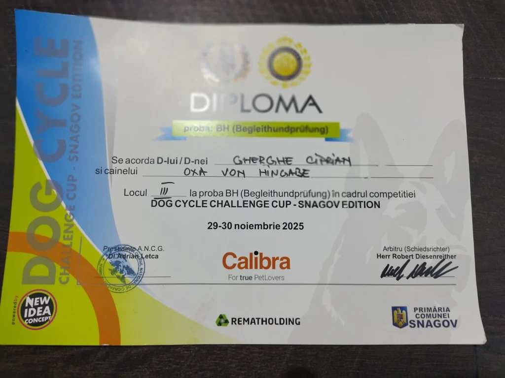 diploma-bh-oxa